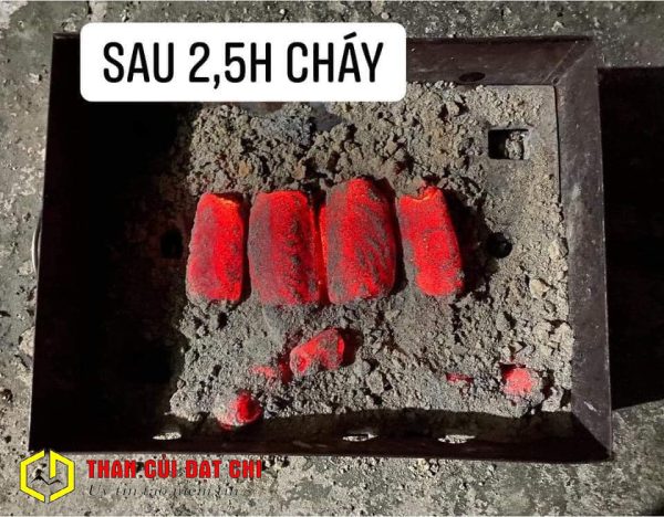 Than gáo dừa không khói sau 2,5h cháy